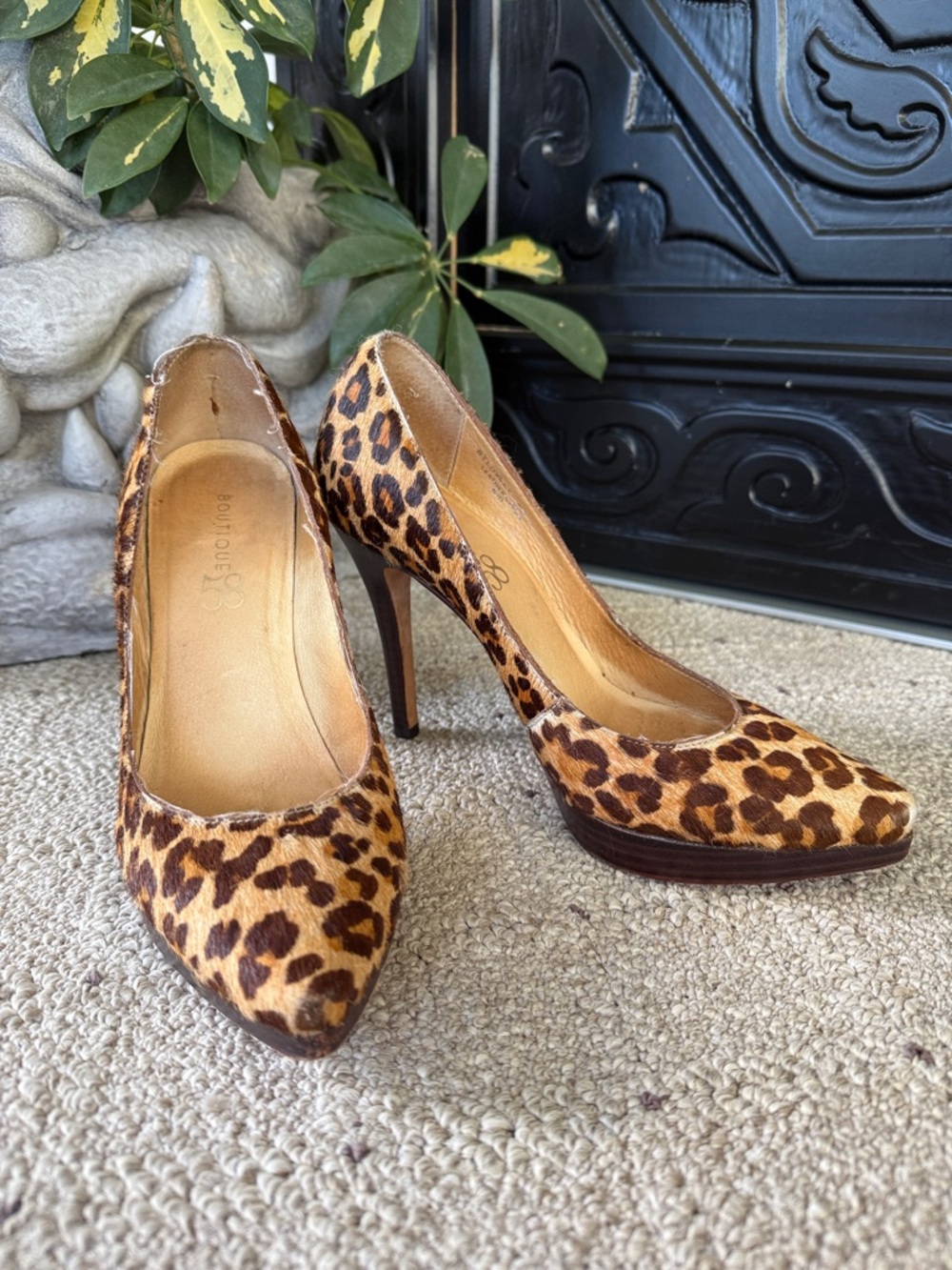 Leopard Print Pointed-Toe Stiletto Pumps - Women
